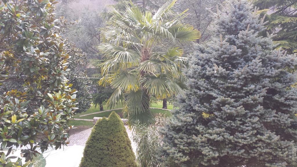Fontana Vecchia Bed & Breakfast Atina Dış mekan fotoğraf